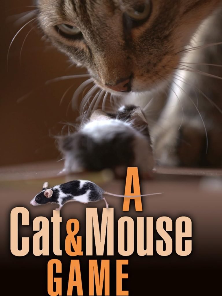 A cat and mouse game.