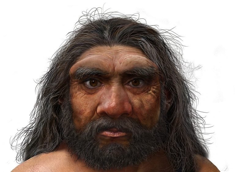 artists-impression-of-dragon-man